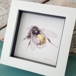 BUMBLE BEE SKETCH WITH GILGING DETAIL